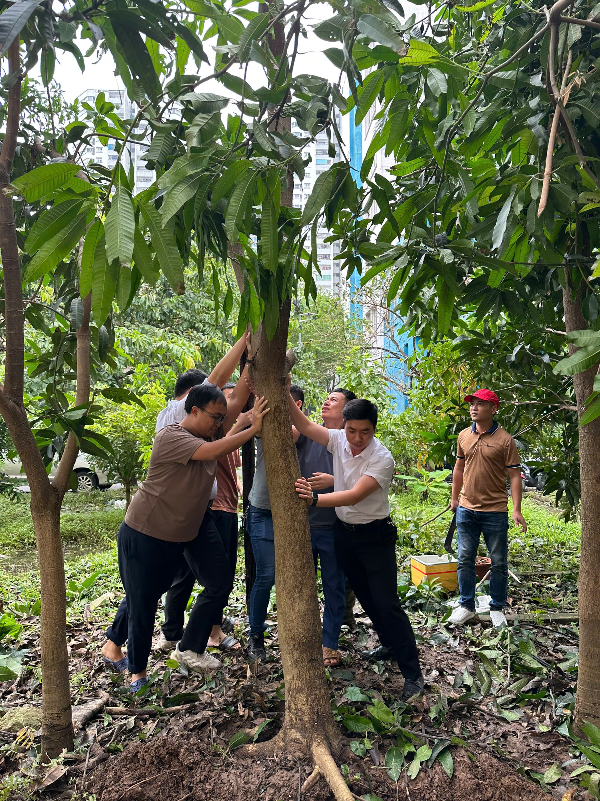 Đoàn Thanh niên Viện Hàn lâm KHCNVN tham gia góp sức cùng Văn phòng Viện Hàn lâm KHCNVN khắc phục hậu quả cơn bão số 3