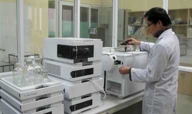 Thông tin chung Đoàn thanh niên Viện Hóa học các Hợp chất thiên nhiên nhiệm kỳ 2020 - 2022